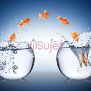 Accepter le changement