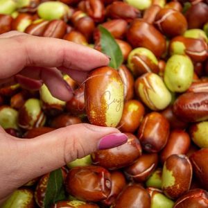 jojoba