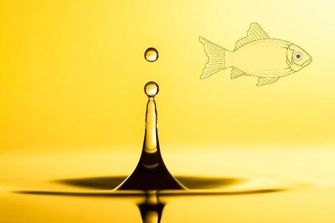 Huile de foie de morue