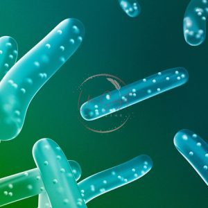probiotiques
