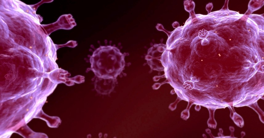 Les infections sexuellement transmissibles les plus courantes