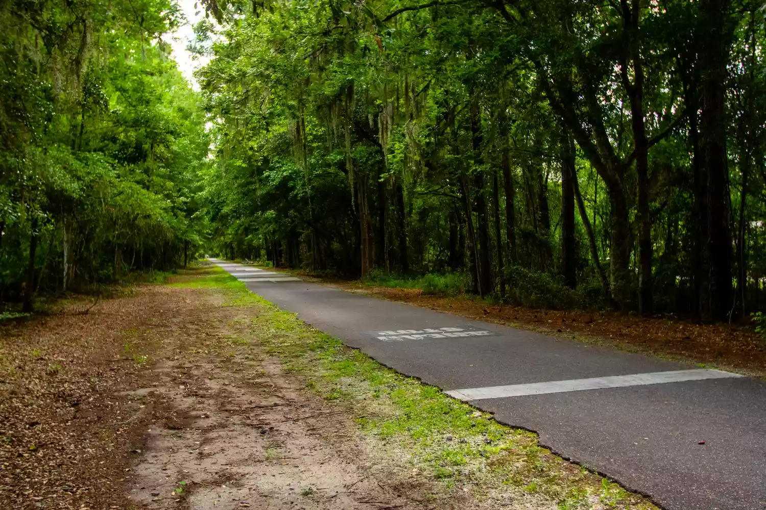 Sentier Baldwin Rail