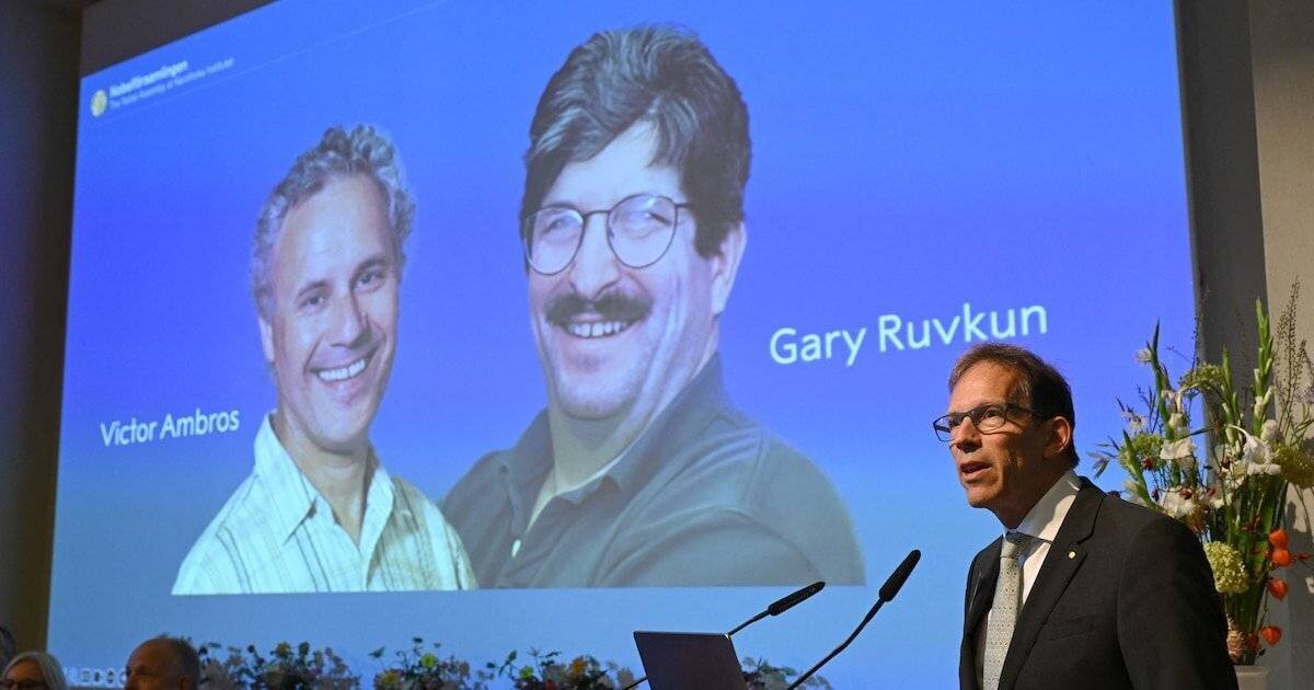 Victor Ambros et Gary Ruvkun