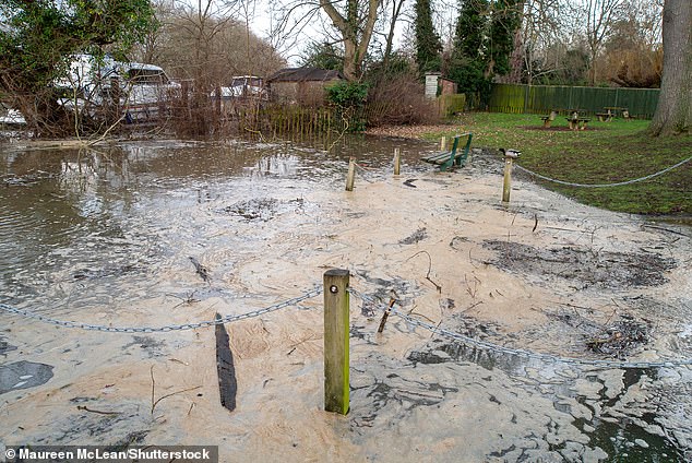 Décharge de Thames Water dans la Tamise