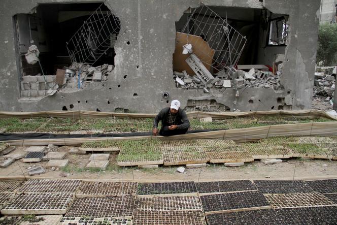 Un agriculteur palestinien fait des semis malgré les attaques israéliennes en cours à Beit Lahia, Gaza, le 28 avril 2024.