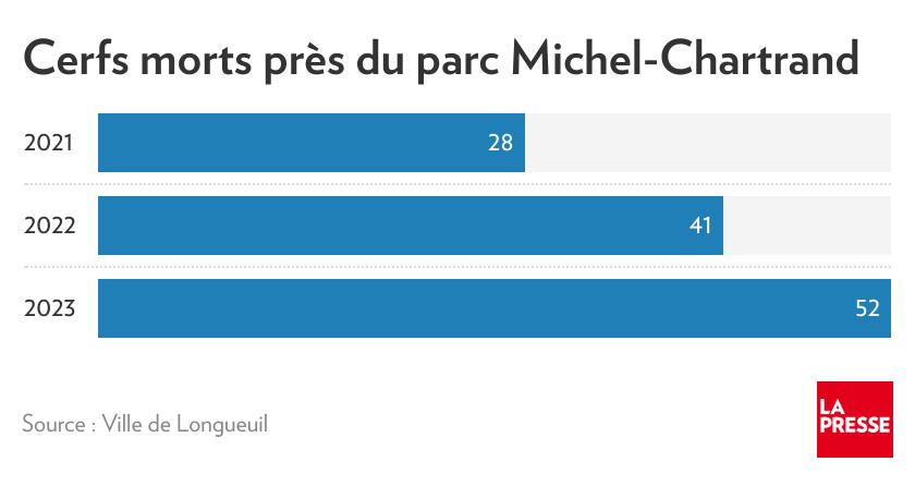 Accidents de la route impliquant des cerfs