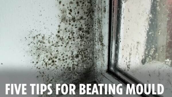 Raclette pour éliminer la condensation