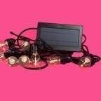 Guirlande Hampton Bay