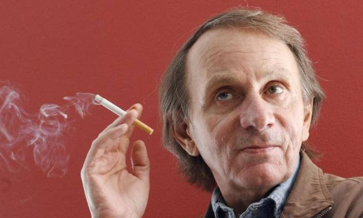 Houellebecq sur l'immigration