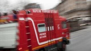Un arbre s’effondre à Paris, un mort et deux enfants blessés