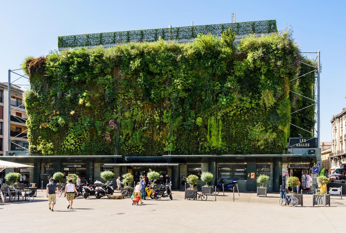 Les Halles à Avignon