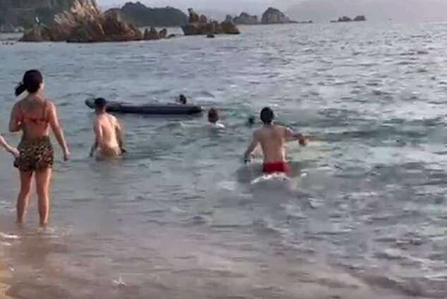 Un homme se sent chanceux d'être en vie après avoir été attaqué par un dauphin au Japon