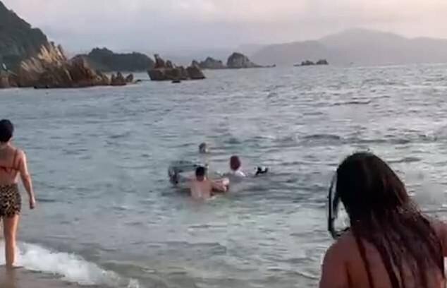 Takuma Goto a été secouru par des surfeurs après l'attaque du dauphin.