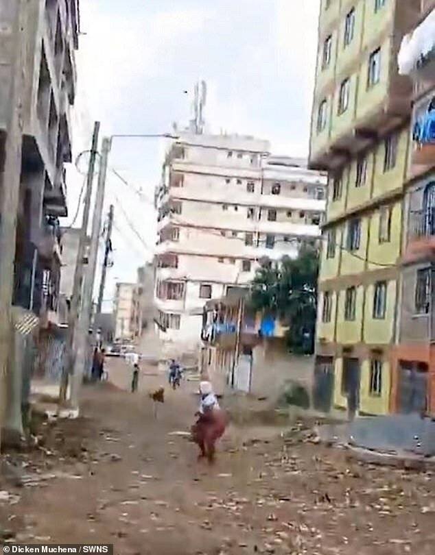 Terrifiant moment de l'effondrement d'un bâtiment de sept étages au Kenya