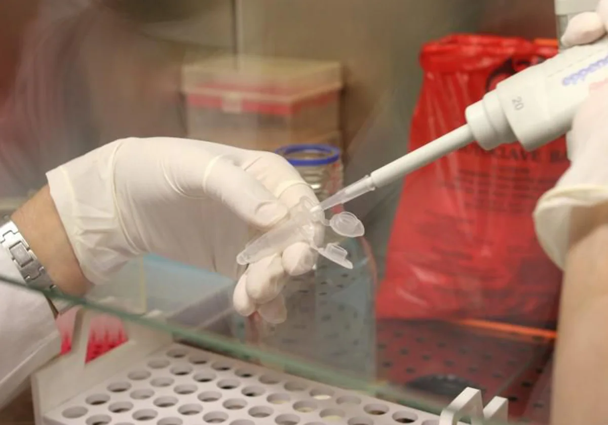 Analyse de ADN, en une image de fichier