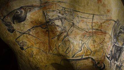 Réplique d'un panneau pariétal de la grotte Chauvet réalisée dans l'atelier de l'artiste Gilles Tosello, membre de l'équipe scientifique, à Toulouse, en 2014. (CHRISTOPHE LEPETIT / ONLY FRANCE)