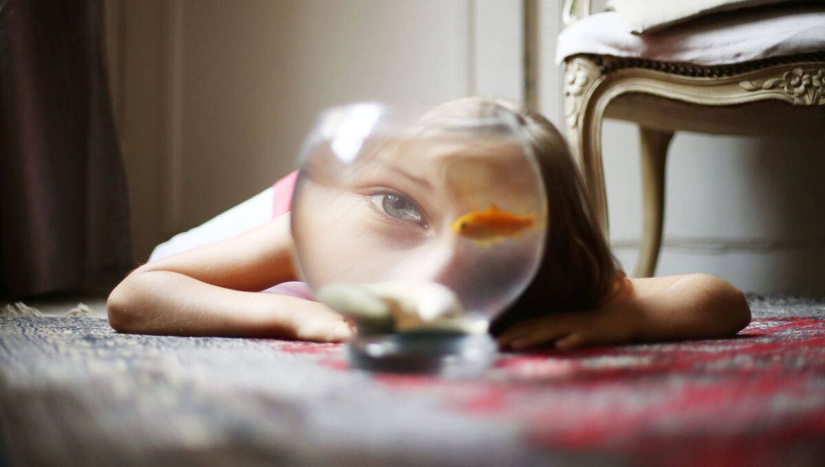 Quel âge à votre poisson ?