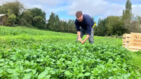Un homme dans un champ de cresson