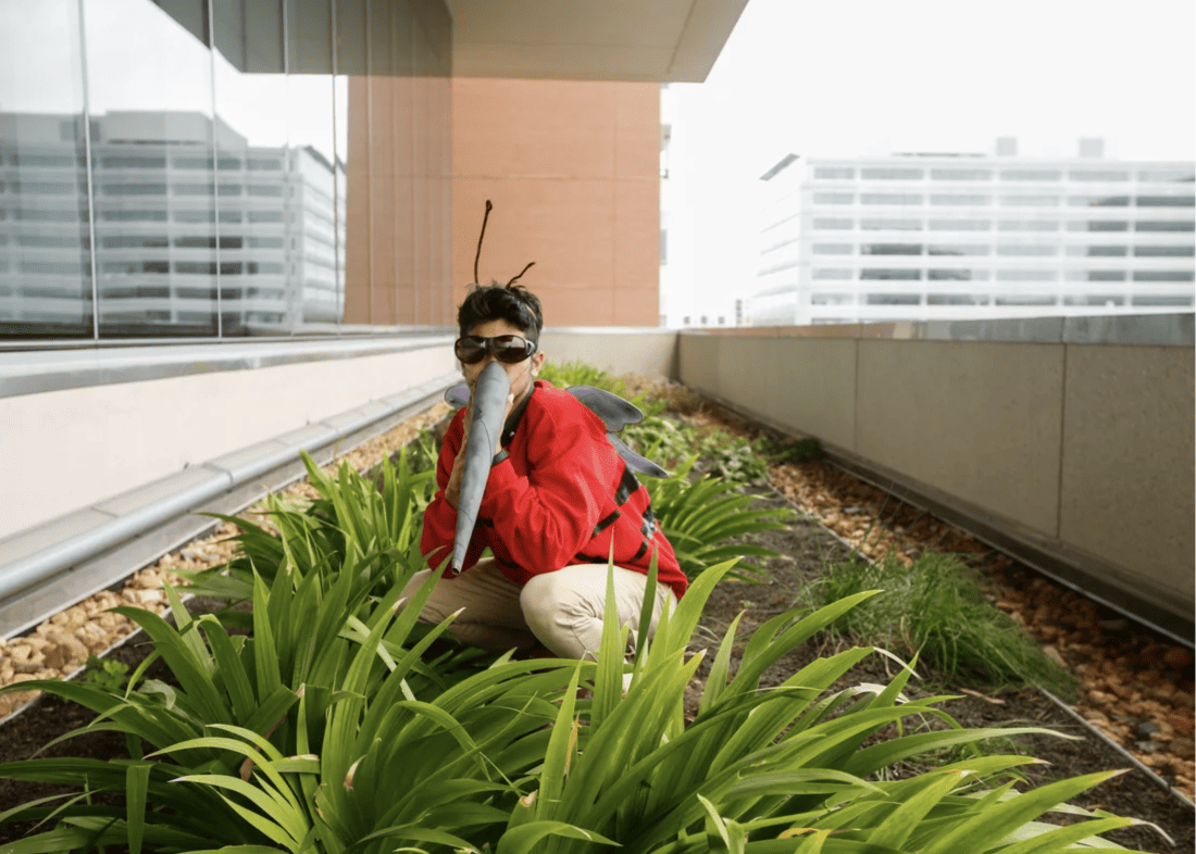 Costume de moustique fait maison