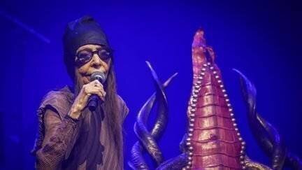 Brigitte Fontaine sur la scène du Printemps de Bourges, le 20 avril 2022. (FRED DUGIT / MAXPPP)