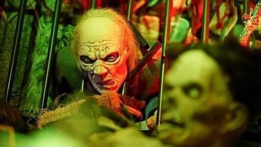 Chaos à Dublin lors d'une parade d'Halloween qui n'existait pas