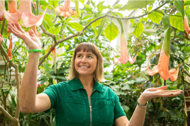 Jardinage et conseils pratiques