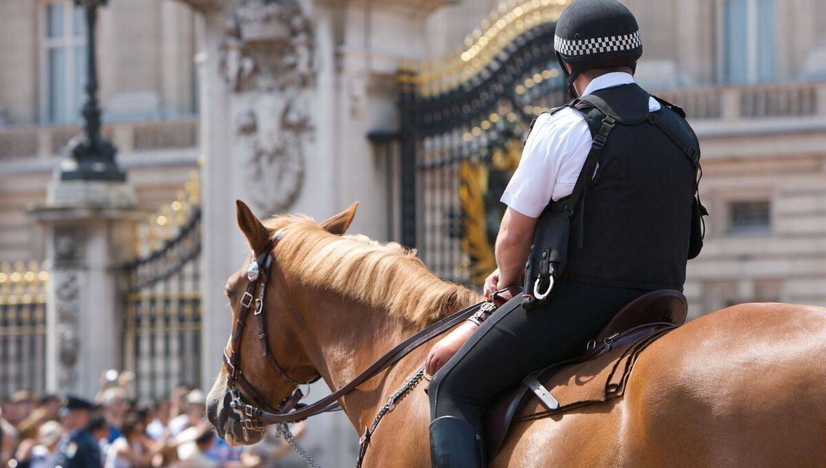 Police montée (illustration)