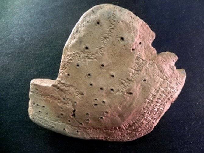 Modèle en argile du foie utilisé pour la formation dans la civilisation babylonienne (Institut de médecine intégrative)