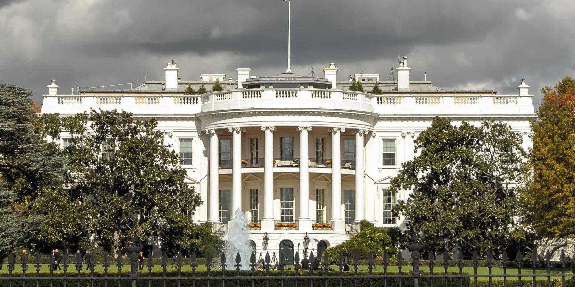 Entrepreneurs de la beauté réagissant à la victoire de Trump