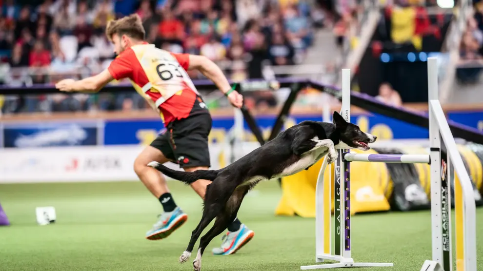 Adrián Bajo Alonso y su perra Gif se proclaman campeones mundiales de agility: 'era difícil pensar, solo sentía satisfacción'
