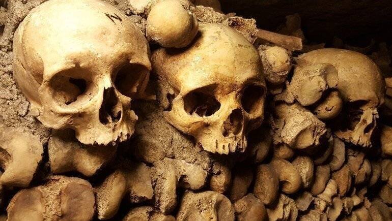 Extraction de l'ADN dans les catacombes