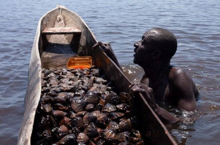 Richesse maritime en Afrique