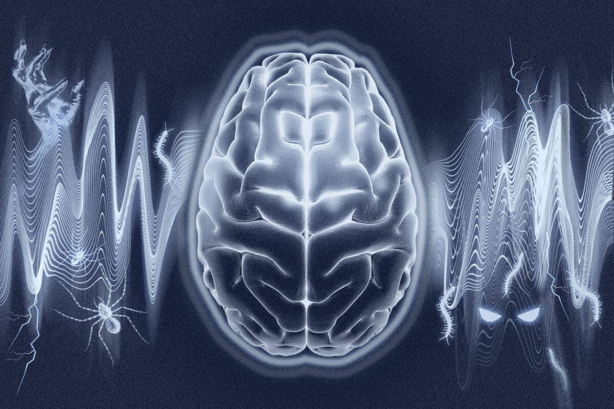 Recherche sur les rêves et leur évolution