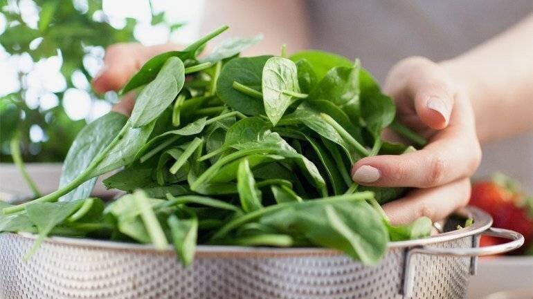 Légumes à feuilles