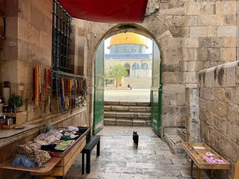 L'école temporelle en face de la coupole du rocher à Jérusalem (Al Jazeera Net)