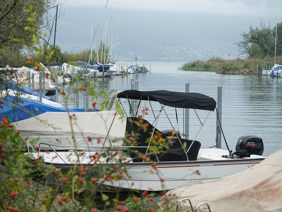 Boats in a harbor by the lake