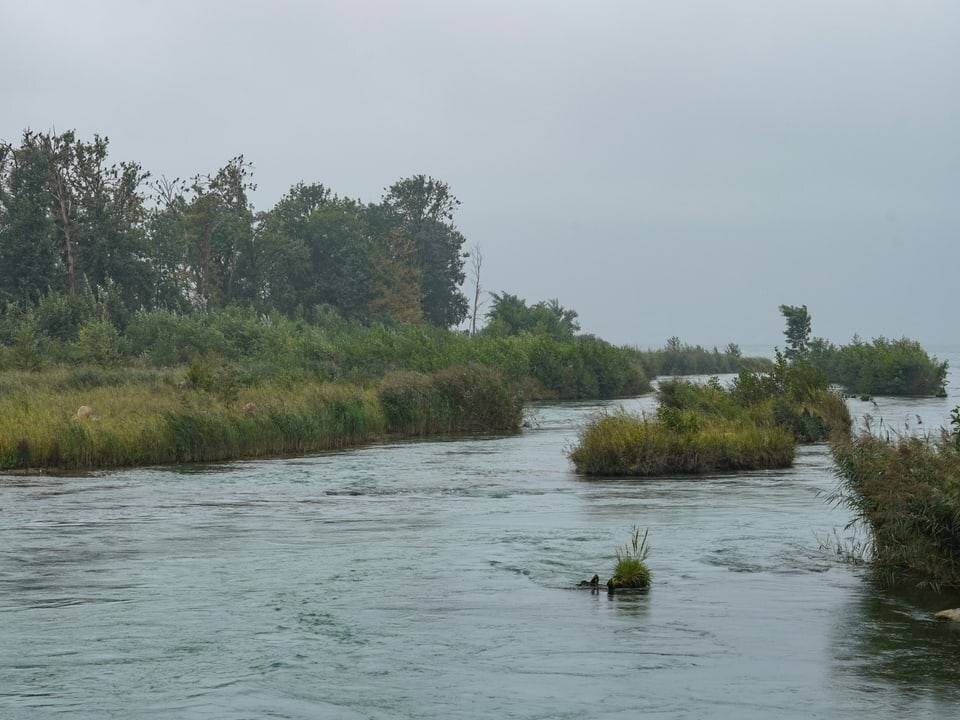 Une paysage côtier sauvage