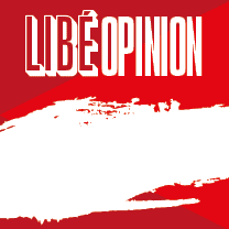 Didier Wampas et son public