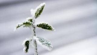 Météo neige et froid en France
