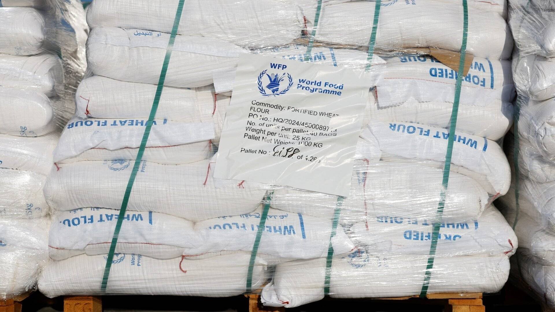 Hilfslieferung für den Gazastreifen | REUTERS Hilfslieferung für den Gazastreifen