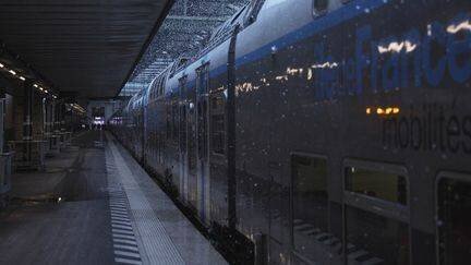 Un train RER en gare de Lyon, à Paris, le 21 novembre 2024. (GREGOIRE CAMPIONE / AFP)