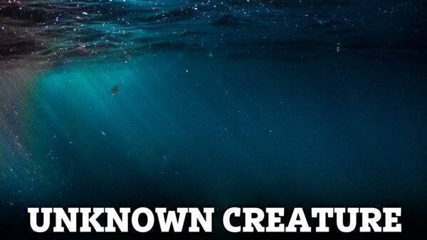 Bruit sous-marin mystérieux