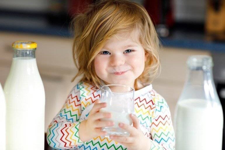 Adorable toddler girl drinking cow milk for breakfast. Cute baby daughter with lots of bottles. Healthy child having milk as health calcium source. Kid at home or nursery in the morning