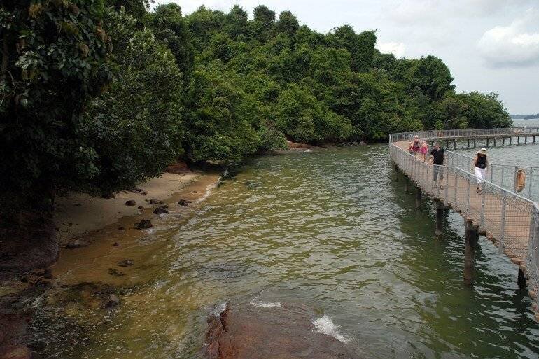 Sentiers à Singapour