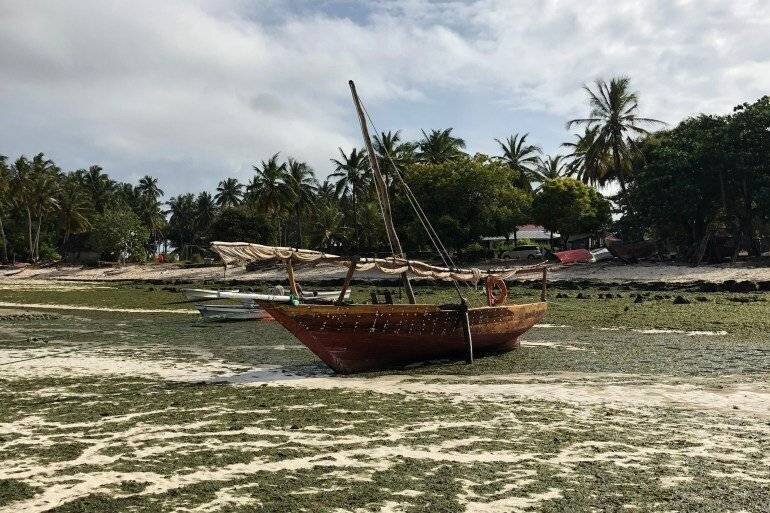 Plage avec des bateaux traditionnels