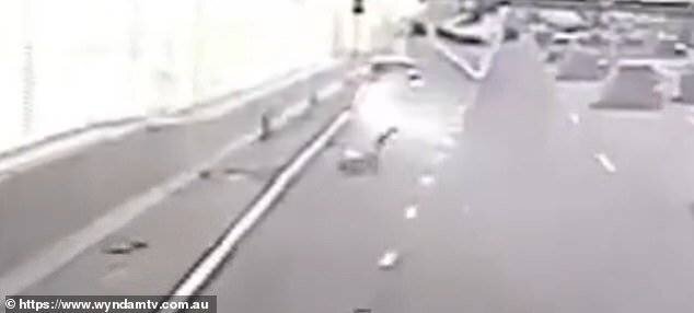 La passagère roulant sur la route