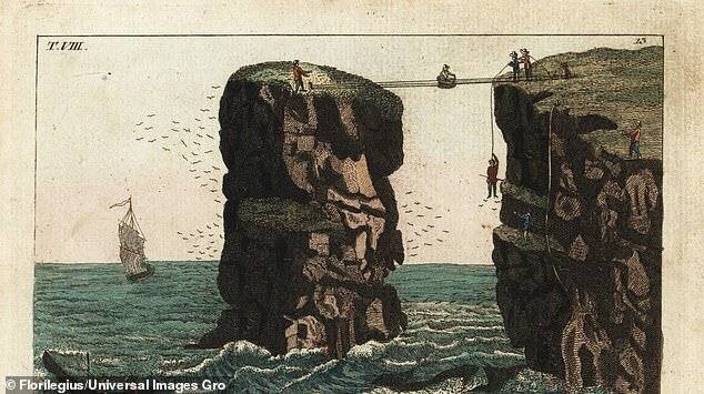 Des habitants des Orcades chassent des oiseaux et des œufs sur la falaise