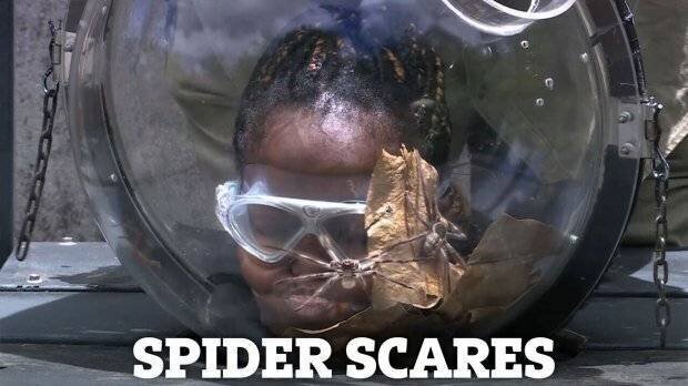 Oti Mabuse dans l'émission I'm A Celebrity