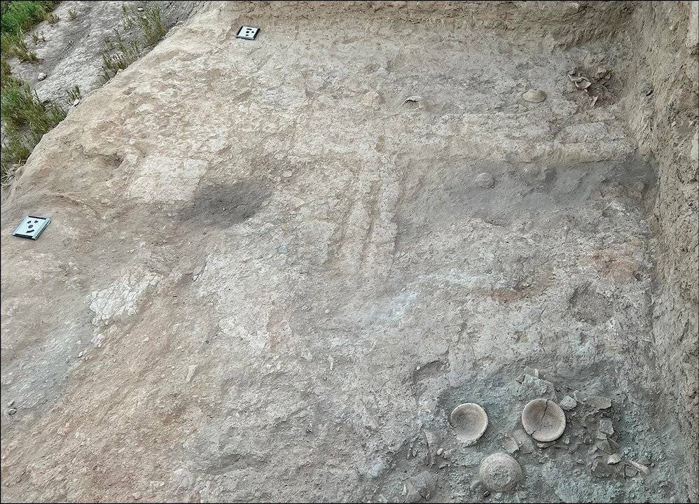 Fouilles archéologiques à Shakhi Kora