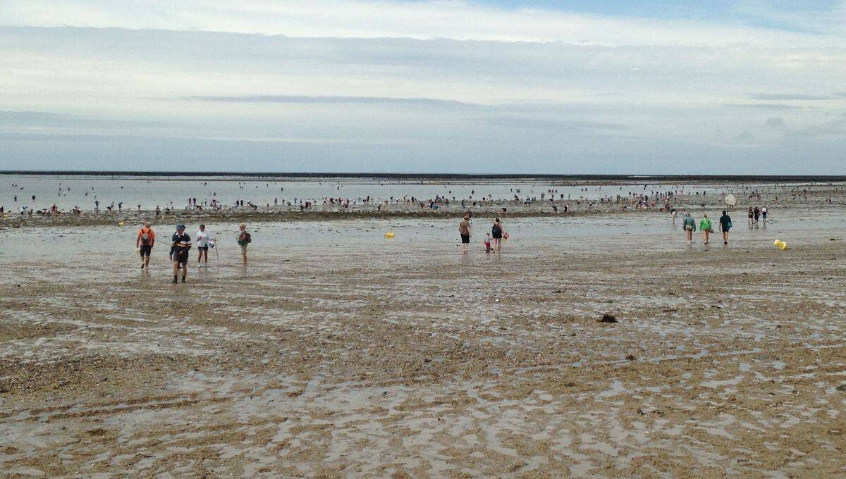 Attitude Manche essaie d'attirer de jeunes Manchois sur le territoire en rappelant notamment la qualité du cadre de vie dans le département.